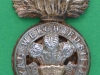 KK 623. Royal Welch Fusiliers. Post 1920. With overlay and C in Welch. Slide 26x43 mm (1)