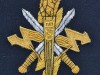 HT-285.-Telegrafregimentet.-Guldbroderi-til-Galla-uniform.-53-x-57mm.