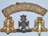 The Wiltshire Regiment badges