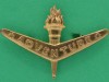 Royal-Australian-Air-Force-Qualification-badge-Air-Training-Corps-Swan-Hudson.-51-x-36mm-1