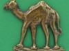 Imperial-Camel-Corps-British-soldiers-hat-badge-cast-42-x-37mm