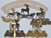 The Royal Warwickshire Regiment badges, reverse.