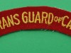 S-21-Veterans-Guard-of-Canada