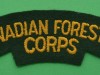 S20-Canadian-Forestry-Corps