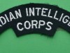 S27-Canadian-Intelligence-Corps
