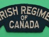 1_M163-The-Irish-Regiment-of-Canada-2