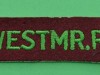 M156-The-Westminster-Regiment-4