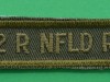 M179-The-Royal-New-Foundland-Regiment-titles-2