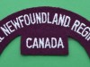 M179-The-Royal-New-Foundland-Regiment