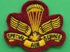 Canadian SAS beret badge 55 x 47mm