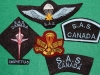 Canadian Special Air Service commemorative badges 1989