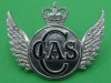 CASC-chromed-badge.-55x44-mm-1