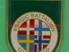 HQ-Platoon-Nordic-Battalion-UNPREDEP