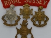 The Royal Sussex Regiment badges, reverse