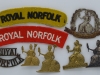 The Norfolk Regiment badges.