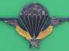 Brevet-Parachutiste-Basic.-Drago-Romainville.-No-445281.-72x48-mm.