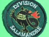 Division-Salamandre