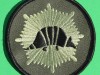 Livgarden-Armadillon-maerket-ISAF