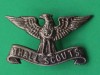 Thall Scouts, Pakistan Army Frontier Force cap badge. 40x24 mm