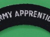 Army-Apprentice-cloth-shoulder-title.-105x27-mm.