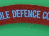 Mobile-Defence-Corps-cloth-shoulder-title.-105x23-mm.