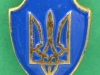 Ukraine army blå