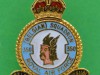 350th-SQN-Belgian-RAF