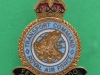 RAF-Transport-COmmand-lapel