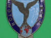 Royal Air Force Association Motor Club badge. 81x96 mm