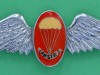 C294-South-Africa-Parachute-freefall-Instructor-wings-87-x-25mm