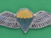 C300-South-Africa-Parachute-Advanced-paratrooper-50-jumps-or-more-75-x-21mm