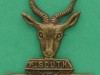 CO1248-1st-South-African-Infantry-Battalion-collar-badge-25-x-29mm-1