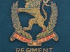 Regiment-Hoeveld