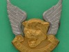 CO3965-Transkei-Special-Forces-cap-badge-40-x-41mm