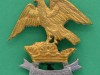 Unknown-SA-badge-38-x-37mm