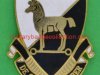 10th-Special-Forces-crest-1962.-26x31-mm.