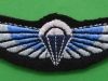 Special Air Service, cloth parachute wing current issue. 24x73 mm