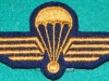 EM49 Swiss Airborne qualification badge
