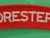 The Foresters cloth shoulder title.