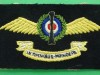Number 17 Squadron (sometimes written as No. XVII Squadron), currently No. 17 Test and Evaluation Squadron (TES), is a squadron of the Royal Air Force. It was reformed on 12 April 2013 at Edwards Air Force Base, California. An early badge. type 2