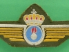 Emblem-for-naerluftsforsvarspersonel-benaevnes-NLF-emblem.-100x40-mm
