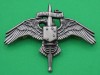 Marine Corps Special Operations Command MARSOC Badge silver. 69x52 mm. 0-22 (1)