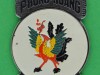 Phung-Hoang-Hanh-Quan-US-Vietnam-CIA-Phoenix-Program-27x50-mm.