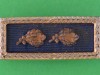 Presidential-Citation-with-2-clusters.-15x35-mm.