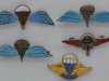 Small enamelled parachute wings of ww2.